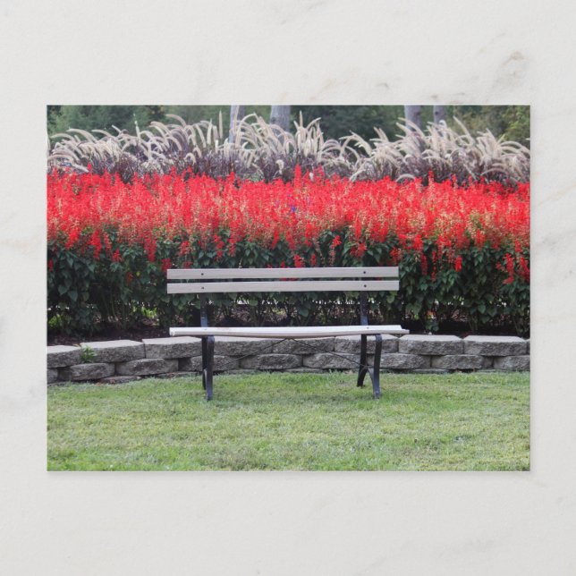 Cartão Postal Bench Red Floral Photo (Frente)