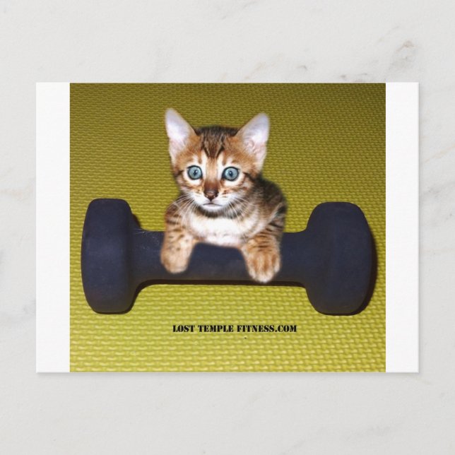 Cartão Postal Bental Kitten com Dumbbell Yellow (Frente)