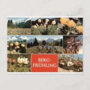 Cartão Postal Berg Frühling Vintage Flores Alpinas Multiview