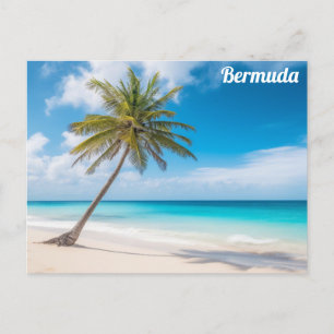 Cartão Postal Bermudas Tropical Beach Ocean Palm Tree Viagem