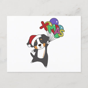 Cartão Postal Bernese Feliz Natal Cães Felizes