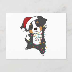 Cartão Postal Bernese Feliz Natal Cães Felizes