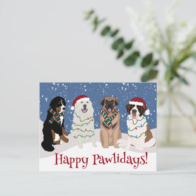 Cartão Postal Bernese Leonberger Excelente Pyrenes (Em pé/Frente)