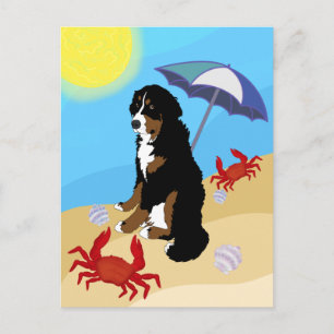 Cartão Postal Bernese Mountain Dog Beach