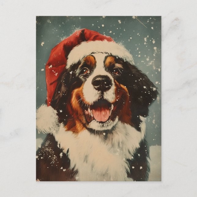 Cartão Postal Bernese Mountain dog Natal (Frente)