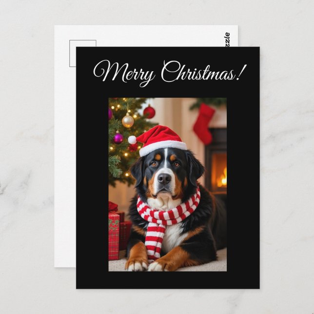 Cartão Postal Bernese Mountain Dog Natal (Frente/Verso)