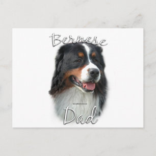 Cartão Postal Bernese Mountain Dog Pai 2