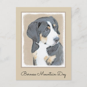 Cartão Postal Bernese Mountain Dog Puppy Painting - Arte Origina