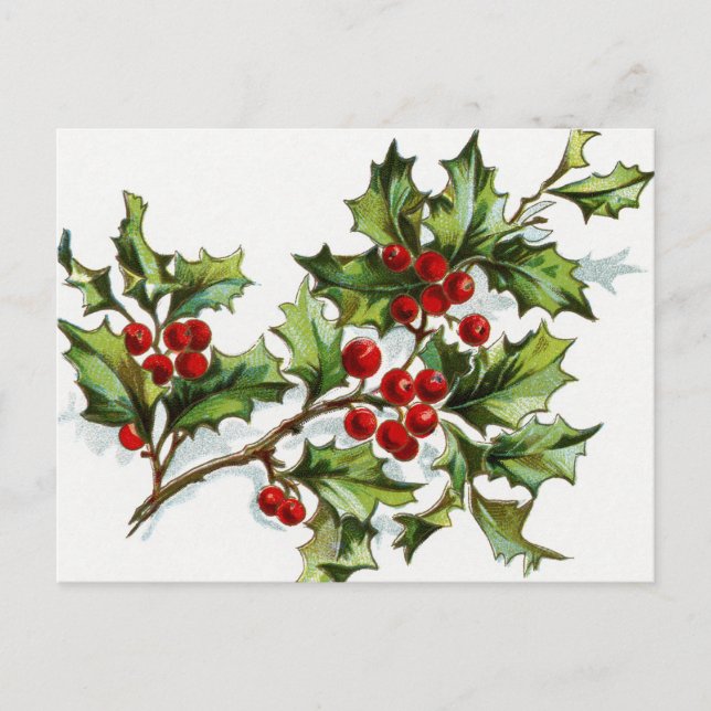 Cartão Postal Berries001 (Frente)