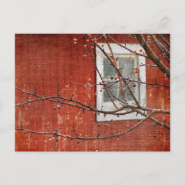 Cartão Postal Berries e Barn