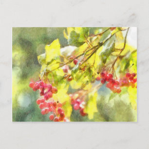 Cartão Postal Berries Watercolor