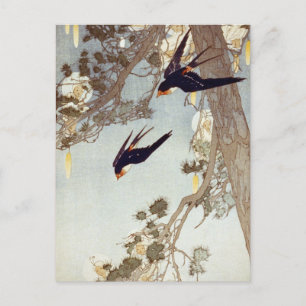 Cartão Postal Bertha Boynton Lum - A Terra Do Bluebird 1916