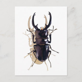 Cartão Postal "Besouro de Stag" Insect Watercolor Art