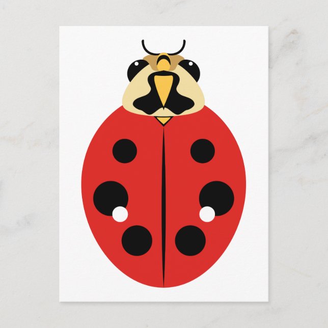 Cartão Postal Besouro Ladybug (Frente)