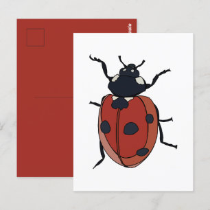 Cartão Postal Besouros Insetam Besouros Ladybug