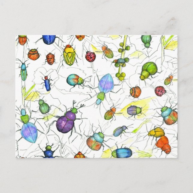 Cartão Postal Besouros Insetos Insetos Rastreamento Folhas Twigs (Frente)