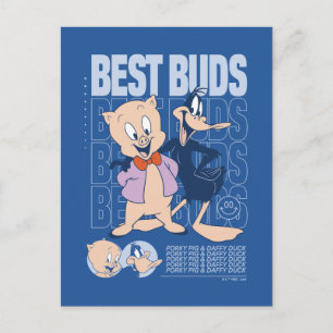 Cartão Postal Best Buds Porky Pig & DAFFY DUCK™