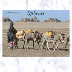 Cartão Postal Bestas de Burden no Djibuti
