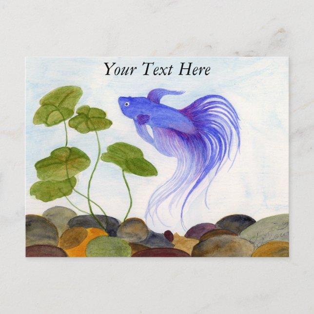 Cartão Postal Betta Fish (Frente)