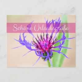 Cartão Postal Bezaubernde Urlaubsgrüße aus dem Briefkasten