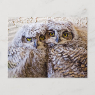 Cartão Postal BFF - Melhores Amigos para Sempre