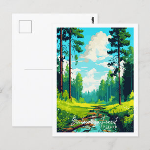 Cartão Postal Bialowieza Forest Polônia viagens vintage