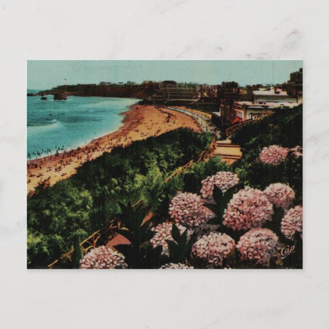 Cartão Postal Biarritz Hortensias França (Frente)