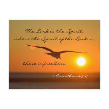 Bíblia da liberdade versa, pássaro voando ao sol