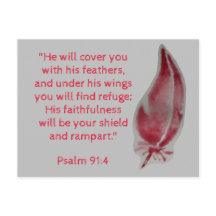 Cartão postal bíblico Salmo 91:4 Penas