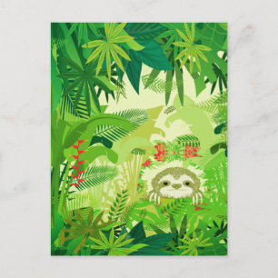 Cartão Postal Bicho-preguiça da Selva Espiando