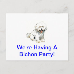 Cartão Postal Bichon Frise
