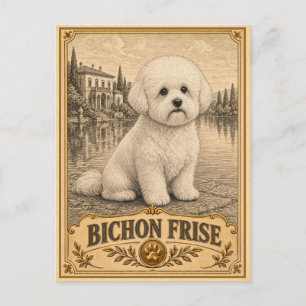 Cartão Postal Bichon Frise, Cachorro Antigo Patrimônio