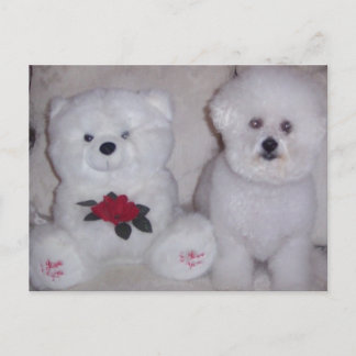 Cartão Postal Bichon frise com ursinho branco.