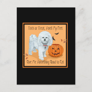 Cartão Postal Bichon Frise Dia das Bruxas ou Travessuras