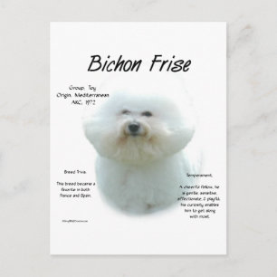 Cartão Postal Bichon Frise History; Tudo Sobre Bichon Frise