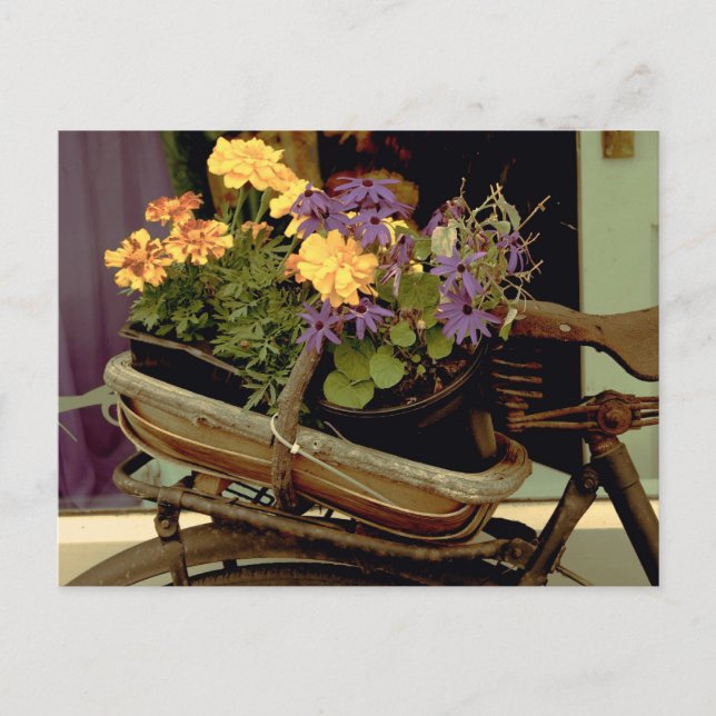 Cartão Postal bicicleta antiga (Frente)