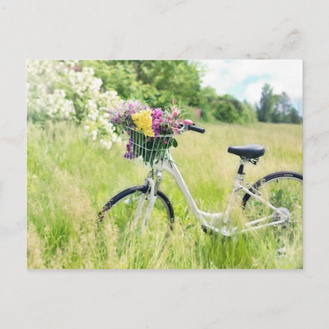 Cartão Postal Bicicleta com flores (Frente)