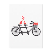 bicicleta tandem com pássaros bonitinhos