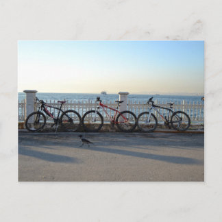 Cartão Postal Bicicletas com Corvo