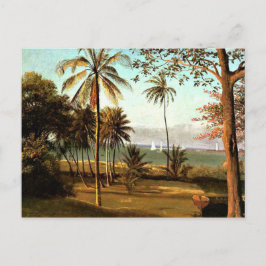 Cartão Postal Bierstadt - Cena da Flórida