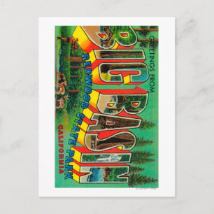 Cartão Postal Big Basin, Califórnia - Grandes Cenas de Letra