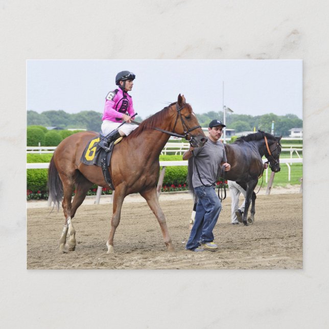 Cartão Postal Big Business, Belmont Park (Frente)