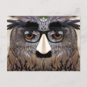 Cartão Postal Big Nose Bird