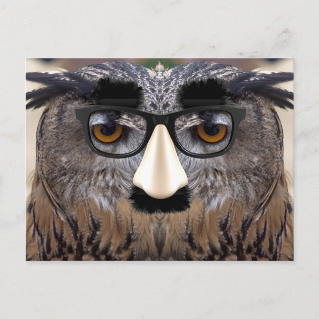 Cartão Postal Big Nose Bird (Frente)