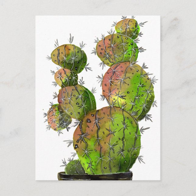 Cartão Postal Big Old Stingy Cactus (Frente)
