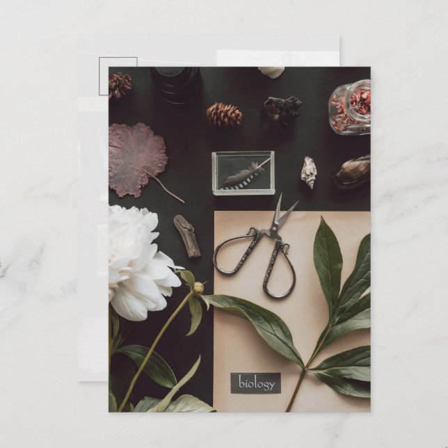 Cartão Postal Biology science Flat Lay Academia (Frente/Verso)