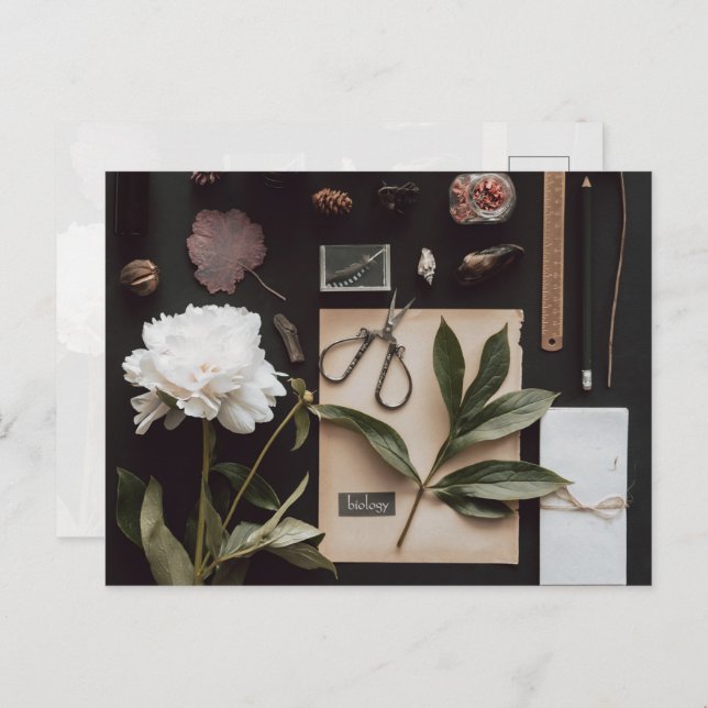 Cartão Postal Biology science Flat Lay Academia (Frente/Verso)
