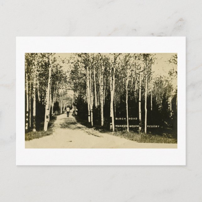 Cartão Postal Birch Road Harbor Beach Resort, Michigan (Frente)