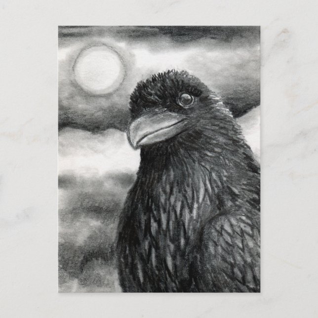 Cartão Postal Bird 64 Crow Raven (Frente)
