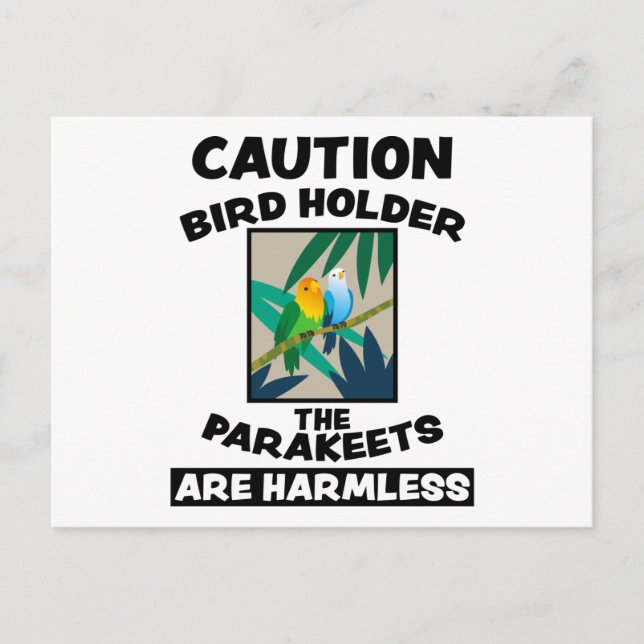 Cartão Postal Bird Cute Exotic Animal Design Birds Amigos Presen (Frente)